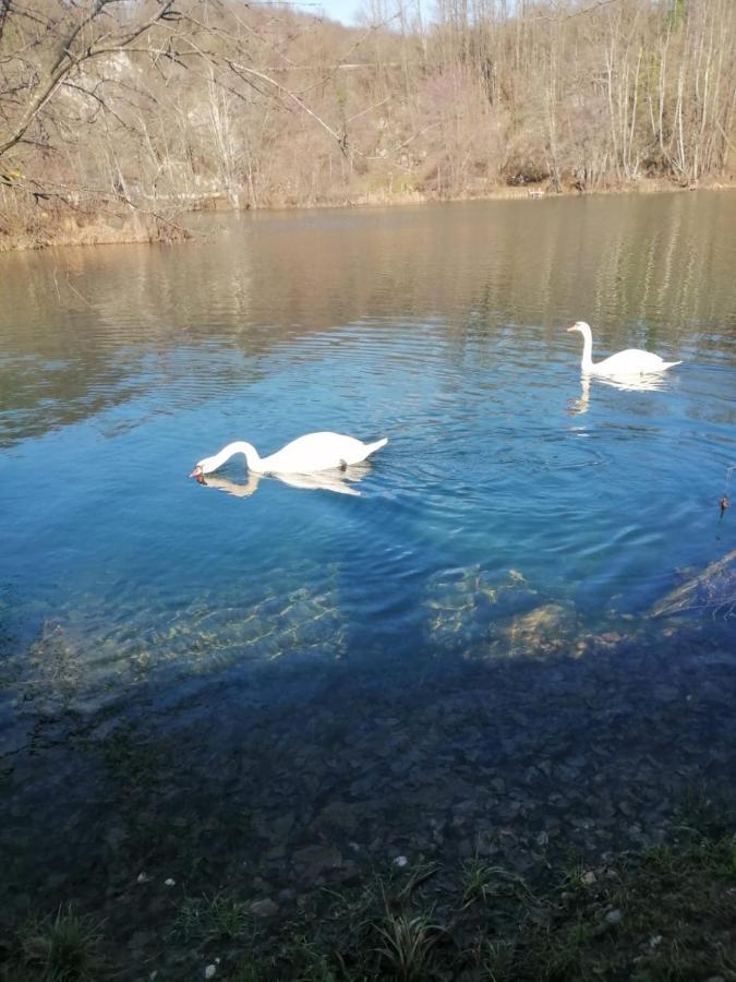 Kuca Za Odmor Braco Lägenhet Donji Zvecaj Exteriör bild
